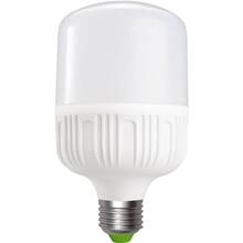 Лампочка EUROELECTRIC LED Plastic 30W E27 6500K (LED-HP-30276(P))