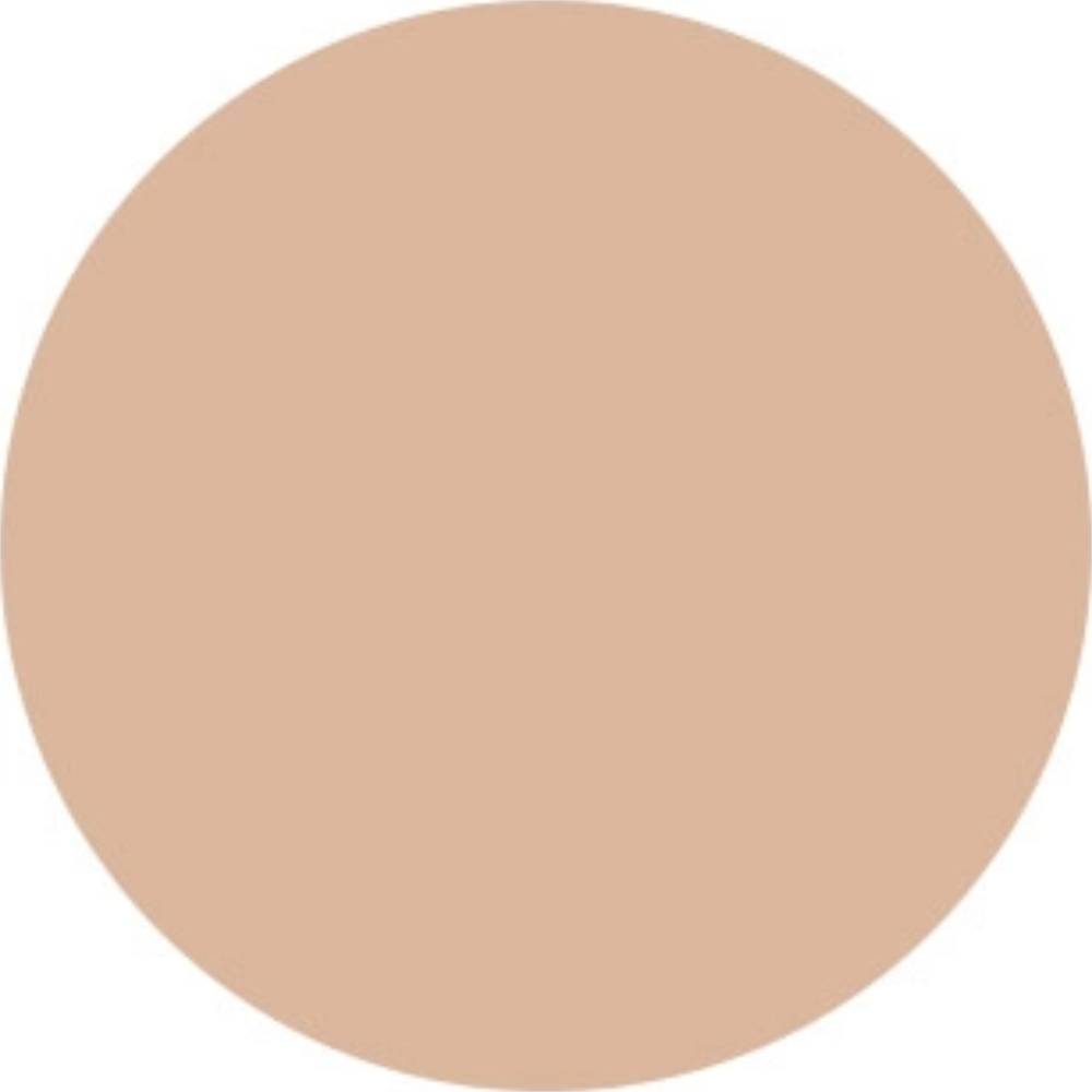 Корректор EVELINE PROF.ART Make-Up 2 в 1 04 Light (5907609339188) Вид корректор