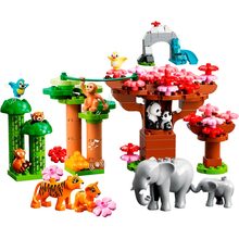 Конструктор LEGO DUPLO Town Дикие животные Азии 117 деталей (10974)