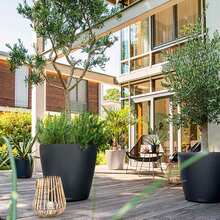 Кашпо Lechuza CLASSICO Color 60 Серый (13334)