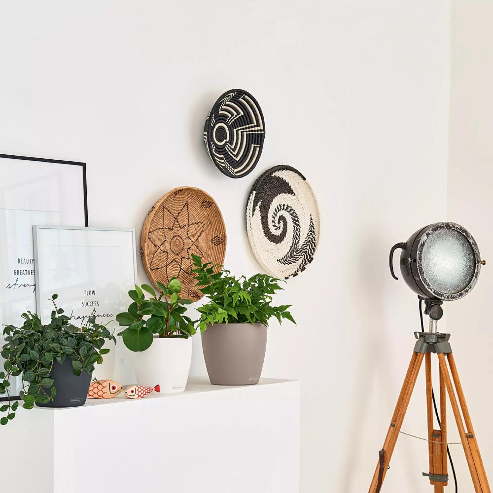 Внешний вид Кашпо LECHUZA CLASSICO Color 18 Серый (13263)