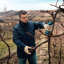 Секатор акумуляторний BOSCH Pro Pruner 12В 2 х 3 Ач 25 мм (0.601.9K1.021)