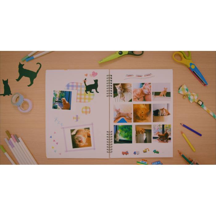 Комплект расходных материалов CANON XS-20L для Canon SELPHY Square QX10 (4119C002) Внешний вид Комплект расходных материалов CANON XS-20L для Canon SELPHY Square QX10 (4119C002)