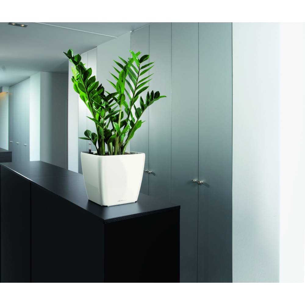 Вазон LECHUZA Quadro Premium LS 28 White (16140) Розміри 28х28х26