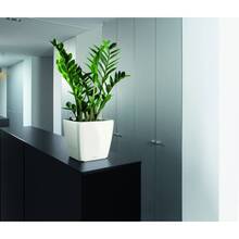 Вазон LECHUZA Quadro Premium LS 28 White (16140)