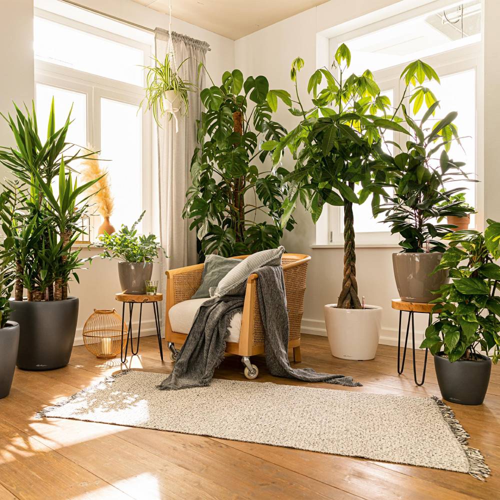 Фото 4 Вазон LECHUZA Classico Premium LS 43 White (16080)