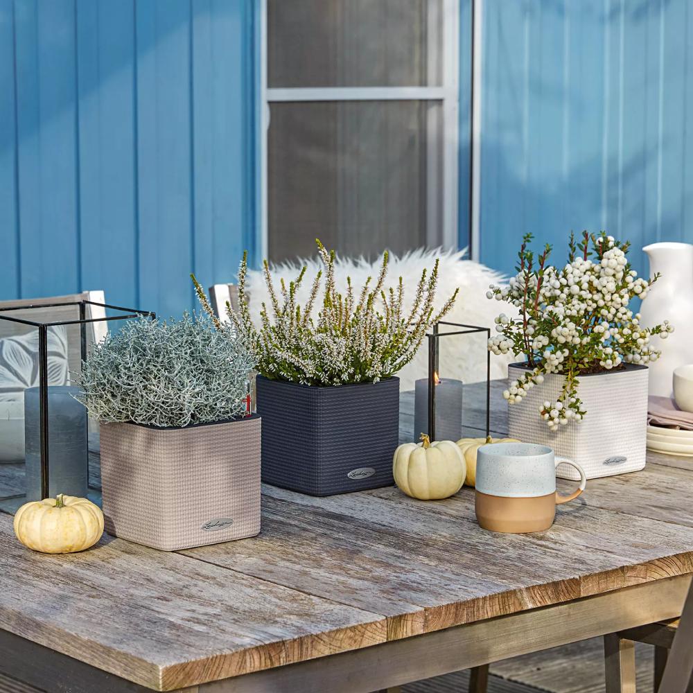 В Украине Кашпо LECHUZA CUBE Color 14 Белый (13380)