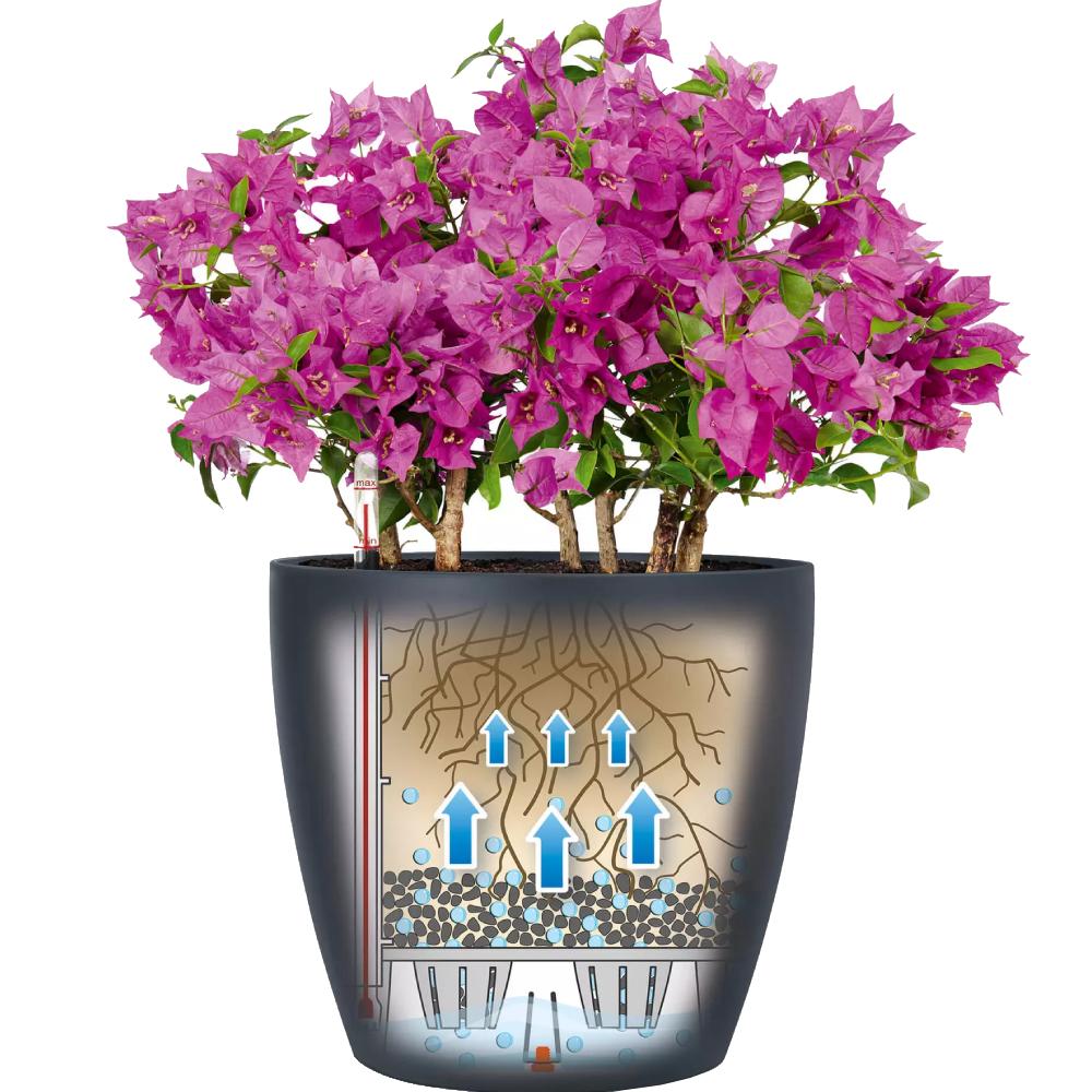 Кашпо LECHUZA CLASSICO Color 18 Серый (13263) Дополнительно система автополива; дренаж в комплекте; сепаратор; емкость для воды: 0.6 л; объем для растений: 2.5 л; размер внутреннего горшка: 18 см