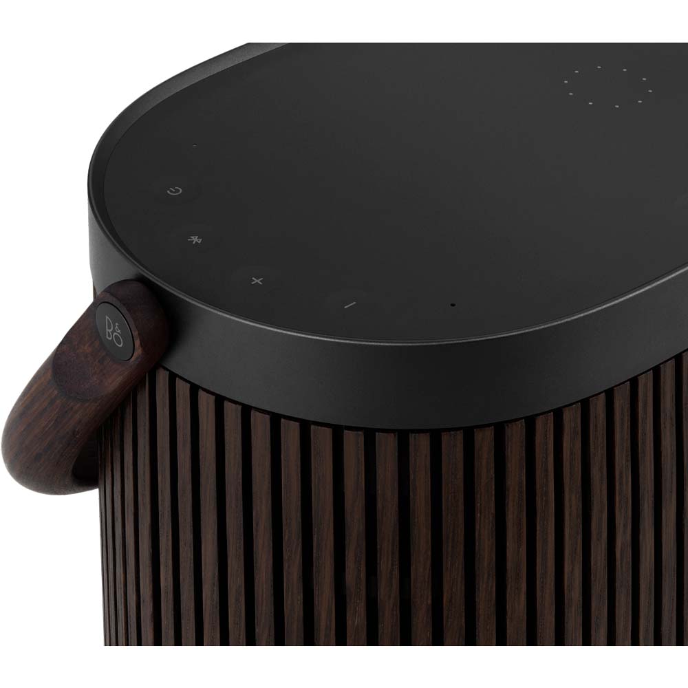 Акустична система Bang & Olufsen Beosound A5 Dark Oak (1254100) Функціональність акумулятор