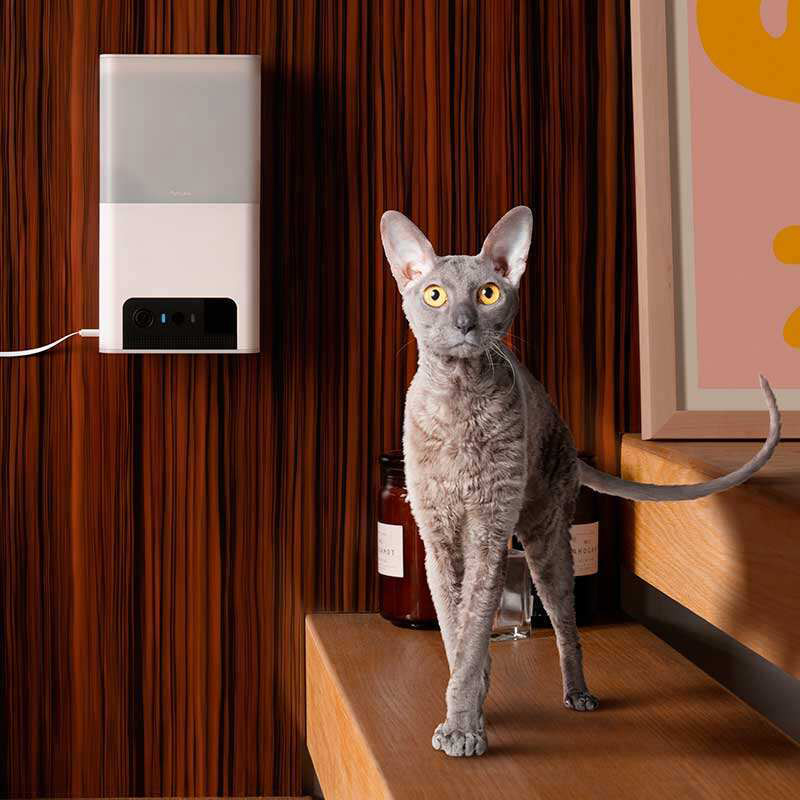 Внешний вид Wi-Fi камера с дозатором еды PETCUBE Bites 2 lite (BL10US)