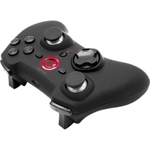 Геймпад SPEEDLINK RAIT Wireless Rubber Black (SL-650110-BK)
