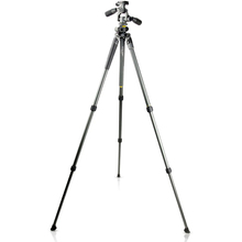 Штатив VANGUARD Alta Pro 2+ 263AP (Alta Pro 2+ 263AP)