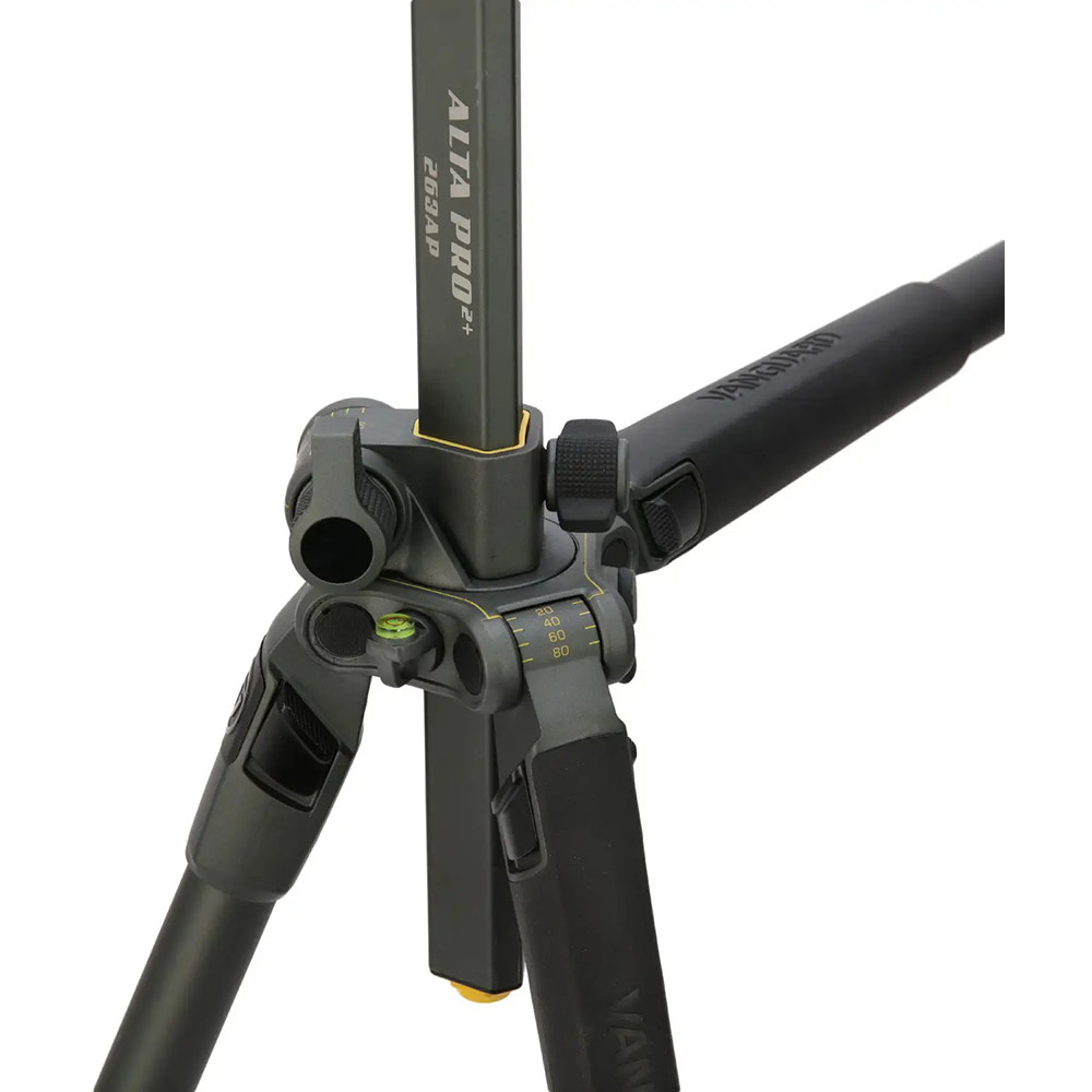 Покупка Штатив VANGUARD Alta Pro 2+ 263AP (Alta Pro 2+ 263AP)