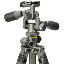 Штатив VANGUARD Alta Pro 2+ 263AP (Alta Pro 2+ 263AP)