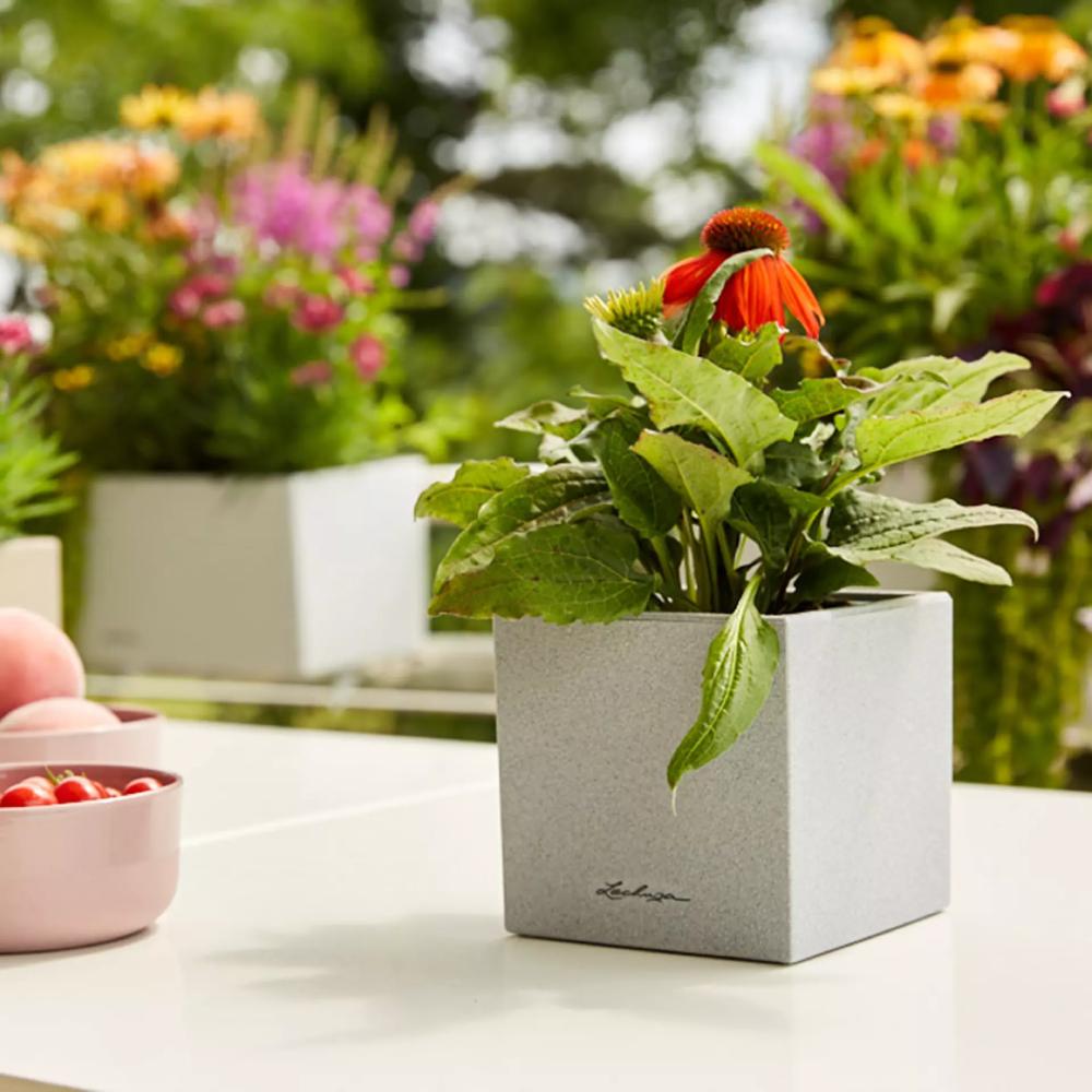 Зовнішній вигляд Кашпо LECHUZA CANTO Stone 14 Сірий камінь (13470)