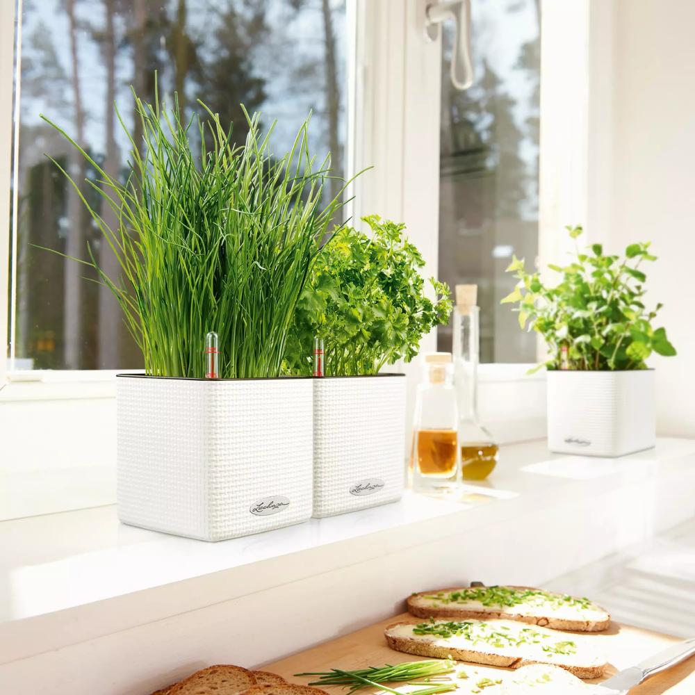 В интернет магазине Кашпо LECHUZA CUBE Color 14 Белый (13380)