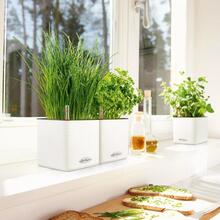 Кашпо LECHUZA CUBE Color 14 Белый (13380)