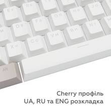 Набор кейкапов DARK PROJECT Keycaps PBT KS-48 White/Beige (DP-KS-0048)