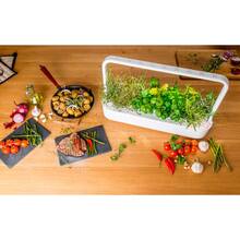 Стартовий набір Click&Grow 8868 SG9 White (4742793008868)