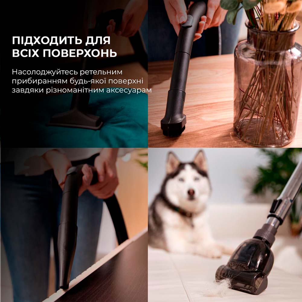 Внешний вид Пылесос CECOTEC Rockstar Multicyclonic XL Animal (CCTC-08592)