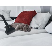 Пылесос HOOVER HP322PET 011