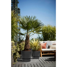 Горшок для растений ELHO Greenville Round 25 см Graphite (332334)