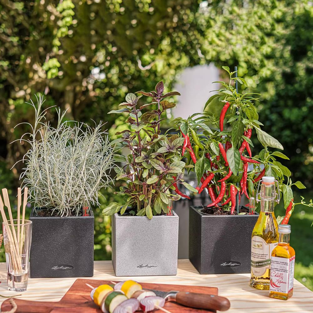 Покупка Кашпо LECHUZA CANTO Stone 14 Сірий камінь (13470)