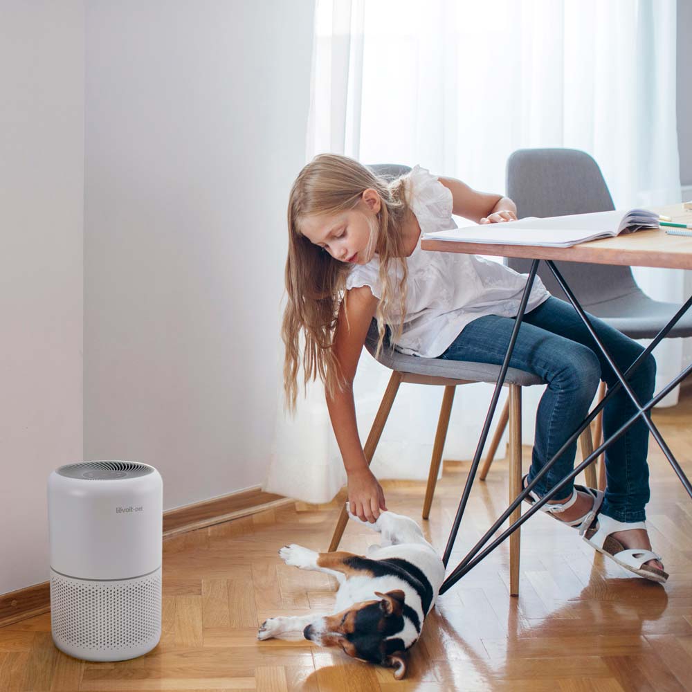 Фото Очисник повітря Levoit Air Purifier Core P350 Pet Care White (HEAPAPLVNEU0035)