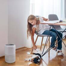 Очисник повітря Levoit Air Purifier Core P350 Pet Care White (HEAPAPLVNEU0035)