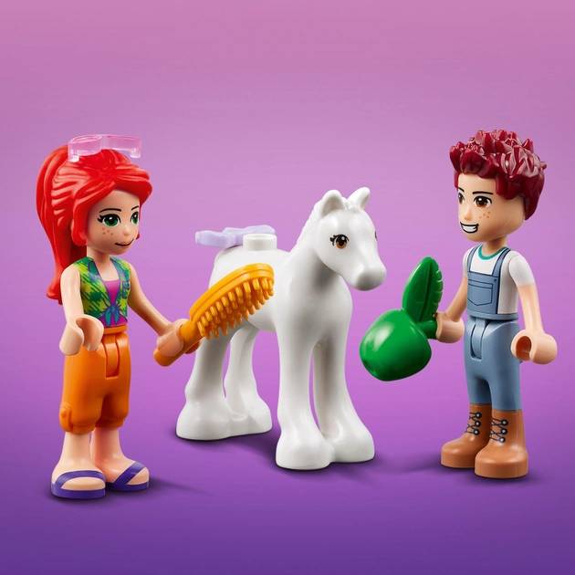 Заказать Конструктор LEGO Friends Конюшня для мытья пони 60 деталей (41696)