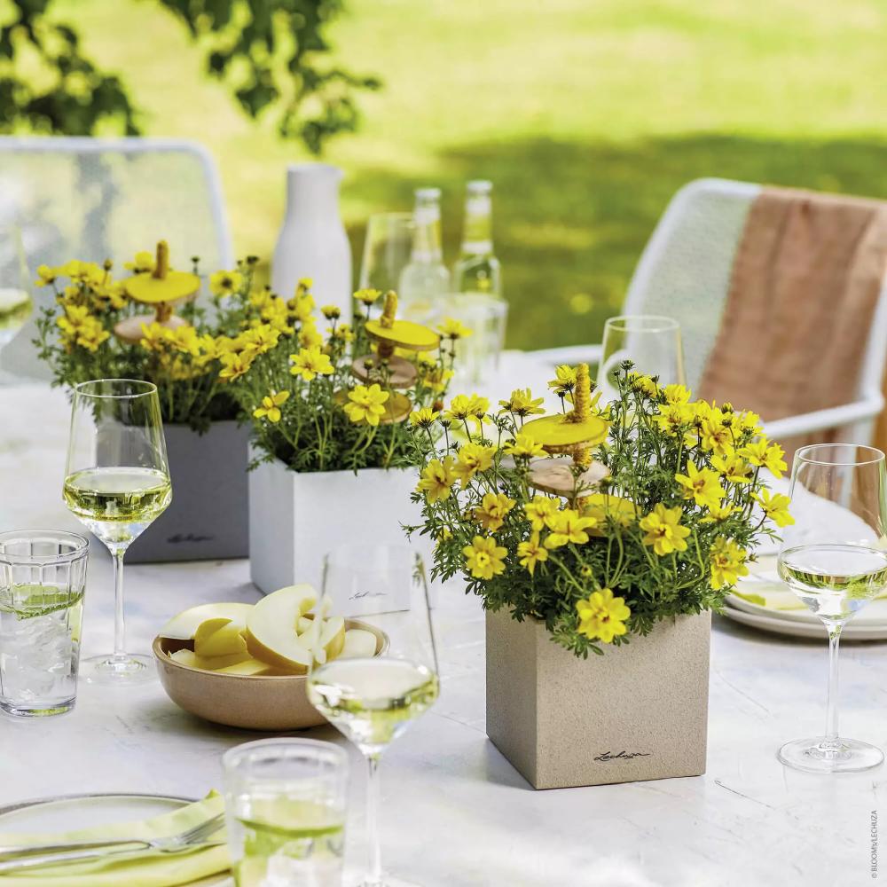 Замовити Кашпо LECHUZA CANTO Stone 14 Сірий камінь (13470)