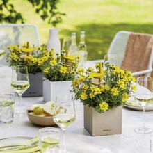 Кашпо LECHUZA CANTO Stone 14 Сірий камінь (13470)