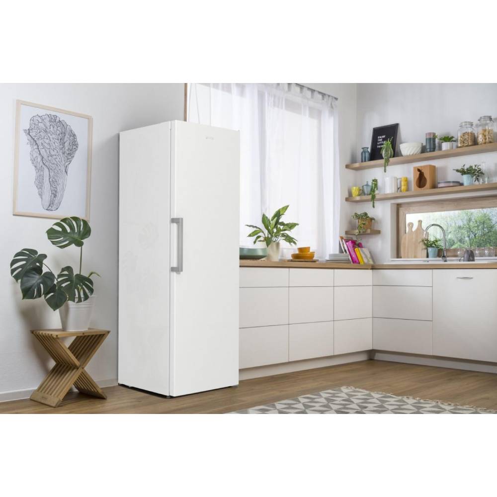 Огляд Морозильна камера GORENJE FN619FEW5 (ZOF3168SBD)