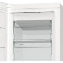 Морозильна камера GORENJE FN 619 EAXL6 (ZOF3168SED)