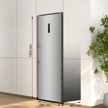 Морозильная камера GORENJE FN 619 EAXL6 (ZOF3168SED)