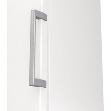 Морозильна камера GORENJE FNP 619 EEW5L (ZOF3168SBD)