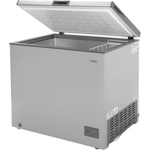 Морозильна камера ELEYUS HFD085M SV250