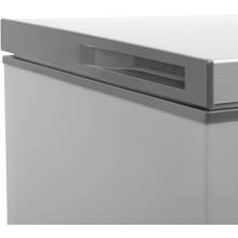 Морозильный ларь ELEYUS HFD085M SV200