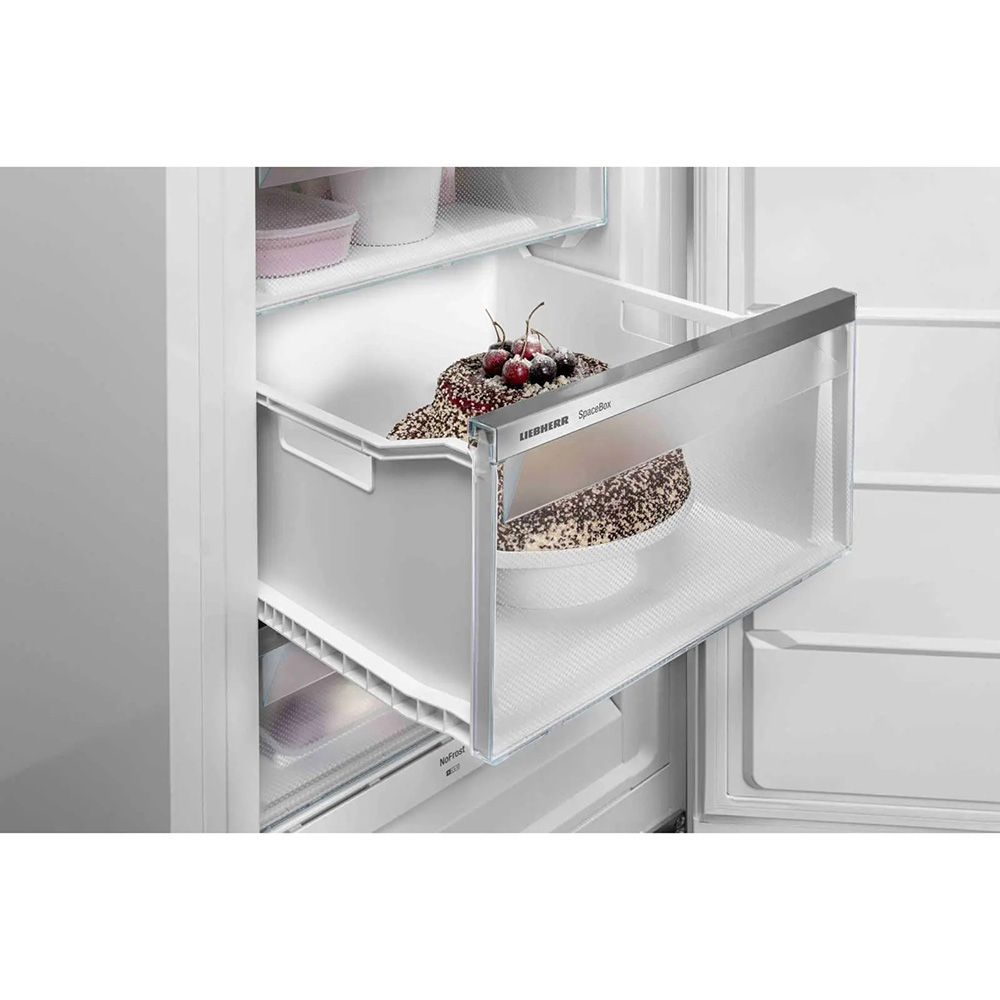 В интернет магазине Морозильная камера LIEBHERR FNb 5056