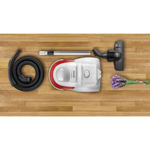 Пилосос GORENJE VCEB 01 GA WWF (VC-W4503)