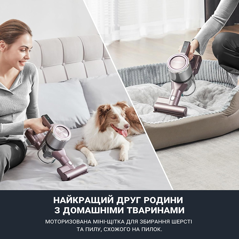 Пилосос EUREKA AK10 Pro Тип акумуляторний