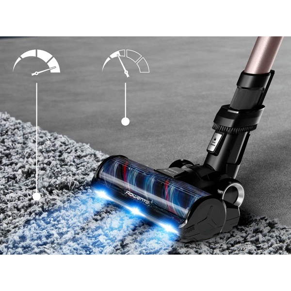 Обзор Пылесос ROWENTA RH9CD9E0