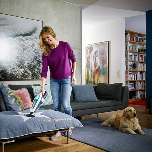 В интернет магазине Пылесос LEIFHEIT Regulus PowerVac 2 в 1 D/AT (11925)