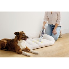 Пылесос SHARK Stain-Destroying Spot (HX100EUT)