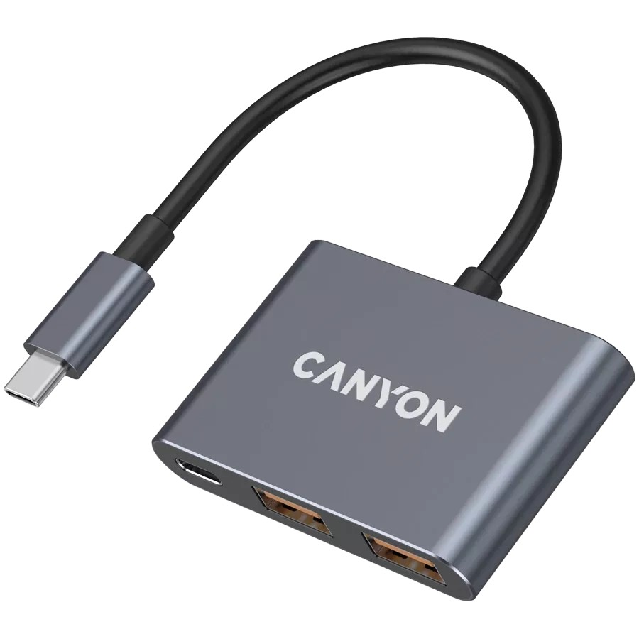 USB-хаб CANYON DS-3 3in1 USB-C Dark Grey (CNS-TDS3) Тип USB-хаб