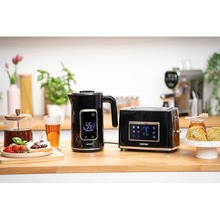 Электрочайник ZELMER ZCK8065