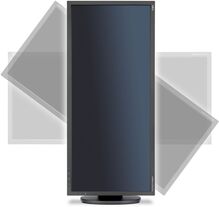 Монитор NEC EA294WMi Black (60003417)