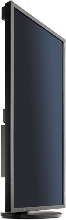 Монитор NEC EA294WMi Black (60003417)