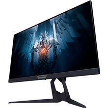 Монитор GIGABYTE AORUS FI25F (FI25F-EK)
