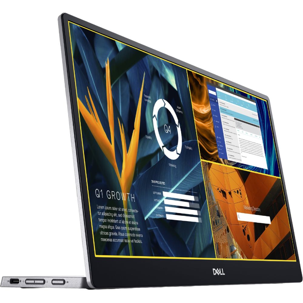 Монитор DELL P1424H (210-BHQQ) Разрешение 1920 x 1080